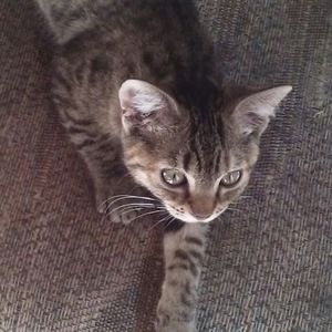 Meet your Posher, Heidi